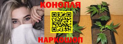 ALPHA PVP Коммунар