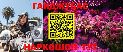индика Комсомольск-на-Амуре