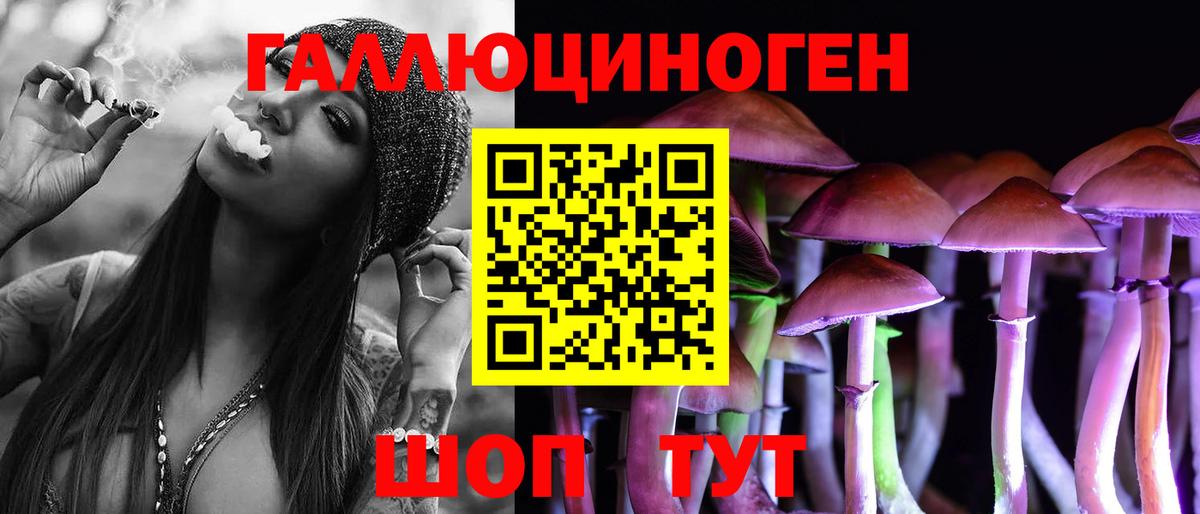 Кировск  Псилоцибиновые грибы ЛСД  Вход с VPN 