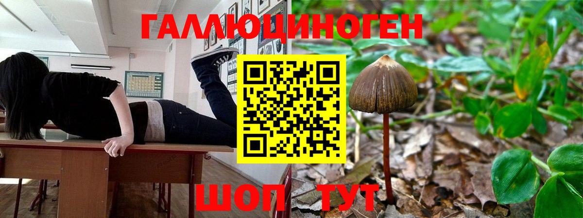 Псилоцибиновые грибы мицелий Кировск
